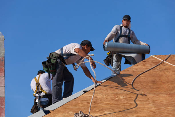 Best Storm Damage Roof Repair  in Kingsland, GA