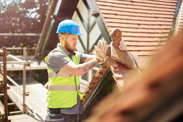 Best Roof Repair Services  in Kingsland, GA